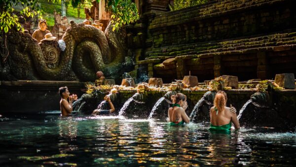 Bali Day Tour: Ubud Day Photo Tour