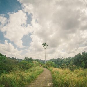 Bali Day Tour: Ubud Serenity Photo Tour