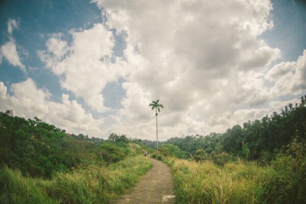 Bali Day Tour: Ubud Serenity Photo Tour