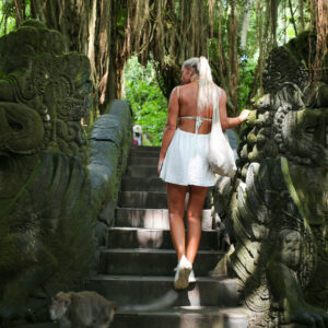Bali Day Tour: Ubud Serenity  Tour