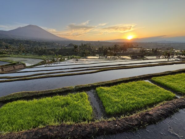 Bali Day Tour: Bali UNESCO World Heritage Photo Tours